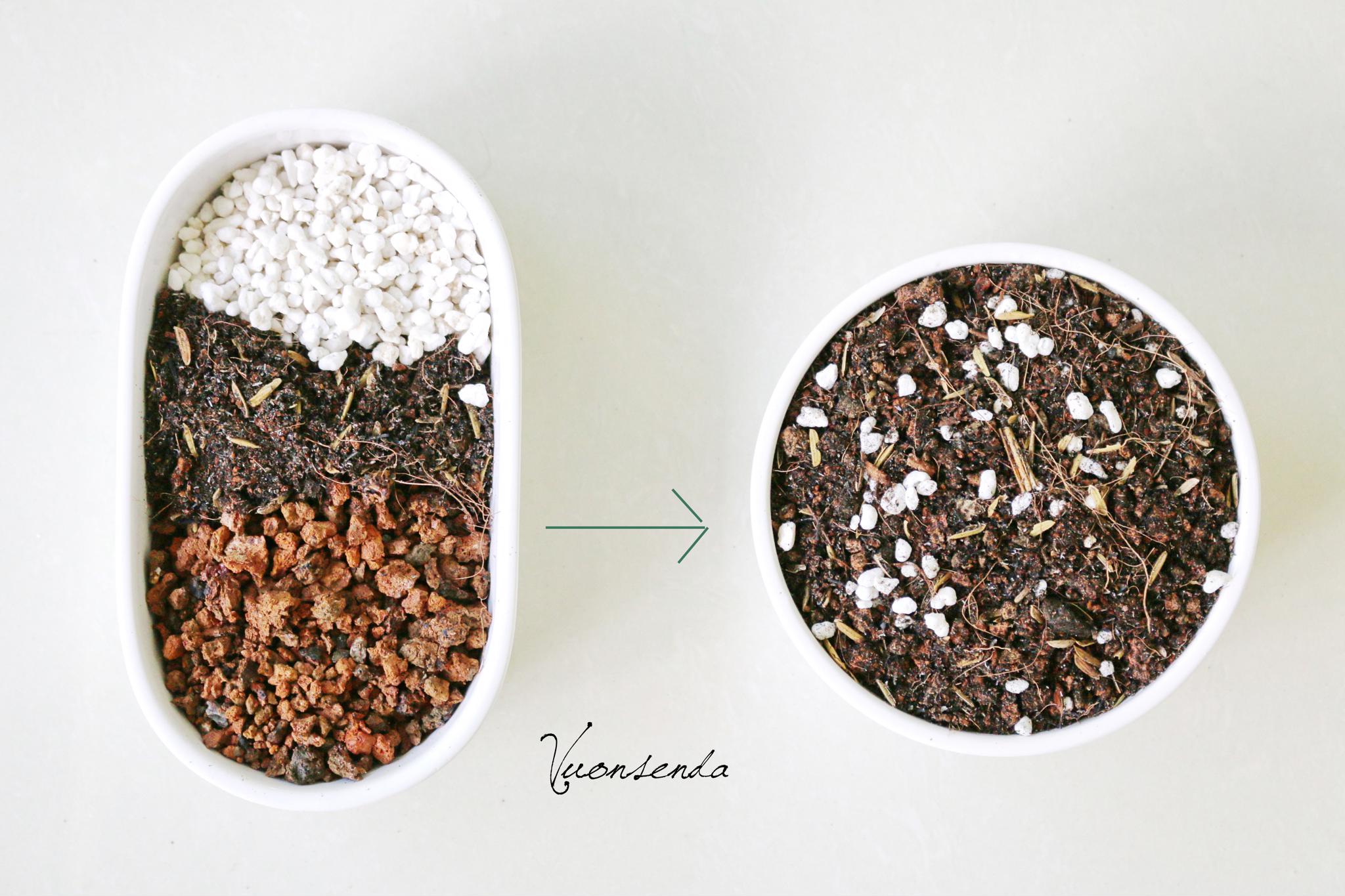 Mua đất trồng sen đá TP.HCM Cây không khí Chăm sóc sen đá Hướng dẫn chăm sóc cây Thiết kế sân vườn Video trồng cây xanh  Nơi bán đất trồng cây ở TPHCM Mua đất trồng cây quận Tân Phú Mua đất trồng cây Quận 8 Mua đất trồng cây ở Bình Thạnh Mua đất trồng cây giá rẻ Cây Xanh Bán đất trồng cây quận Tân Phú Bán đất trồng cây quận Tân Bình Bán đất trồng cây quận Gò Vấp Bán đất trồng cây quận Bình Thạnh Bán đất trồng cây quận 9 Bán đất trồng cây quận 8 Bán đất trồng cây quận 7 Bán đất trồng cây quận 6 Bán đất trồng cây quận 5 Bán đất trồng cây quận 3 Bán đất trồng cây quận 2 Bán đất trồng cây quận 12 Bán đất trồng cây quận 11 Bán đất trồng cây quận 10 Bán đất trồng cây quận 1 Bán đất trồng cây gần đây Bán đất trồng cây 4 Bán đất thịt trồng cây ở Bình Dương 