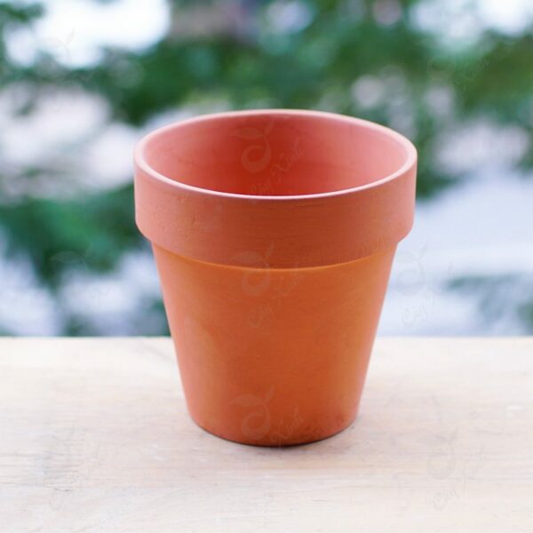 Chậu đất nung màu nâu (chậu size nhỏ) Chậu cây cảnh Cây xanh TPHCM