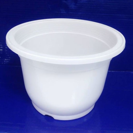 Chậu nhựa tròn trắng Chậu cây cảnh Cây xanh TPHCM