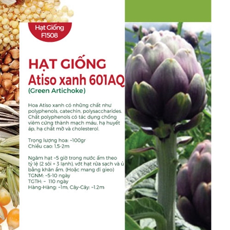Hạt Giống Atiso Đà Lạt Tím 601AQ Hạt giống cây Cây xanh TPHCM