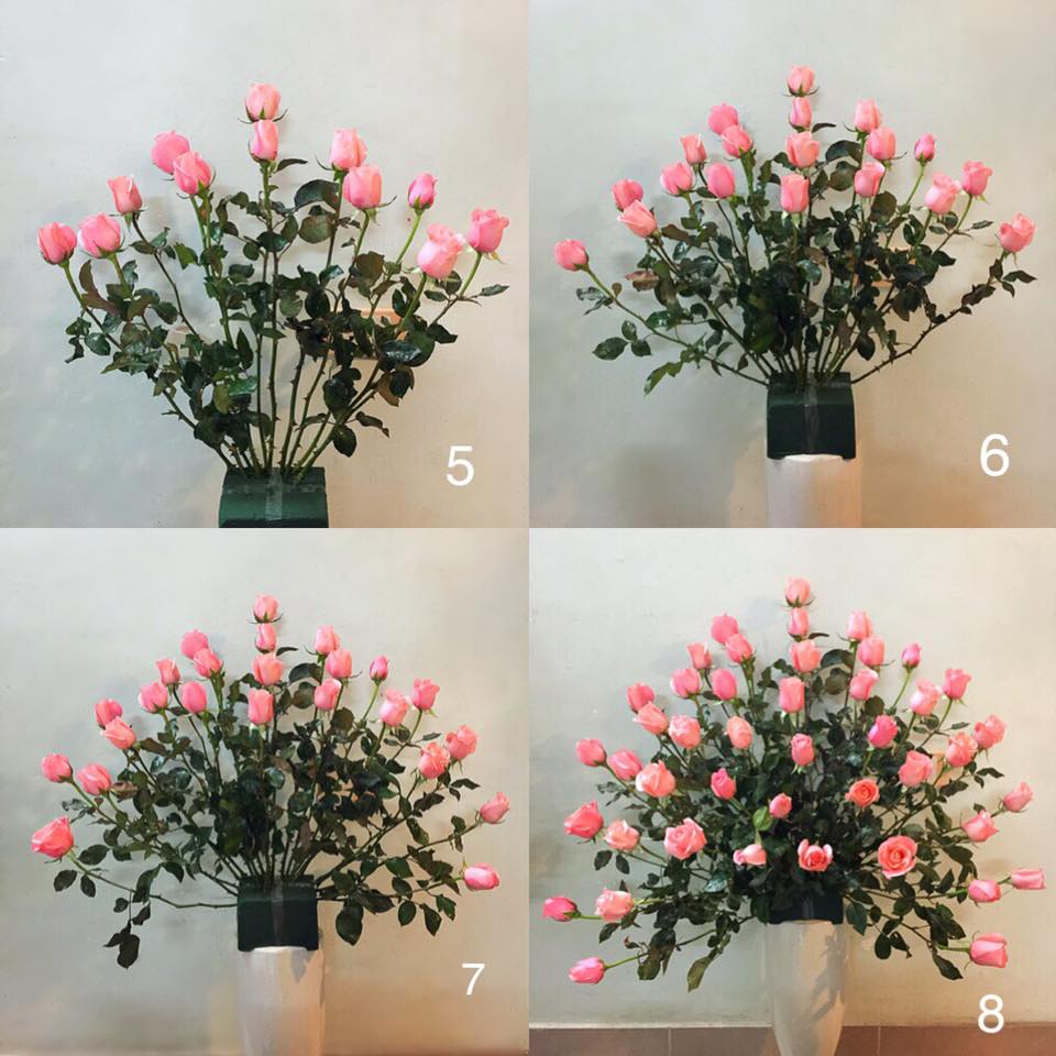 Hoa hồng cắm mấy bông khi trang trí trong nhà Cây xanh phong thuỷ Thiết kế sân vườn  Cây Xanh 