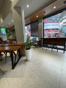 Cây kim tiền + Chậu cây (tặng khai trương, tặng quà đẹp)  