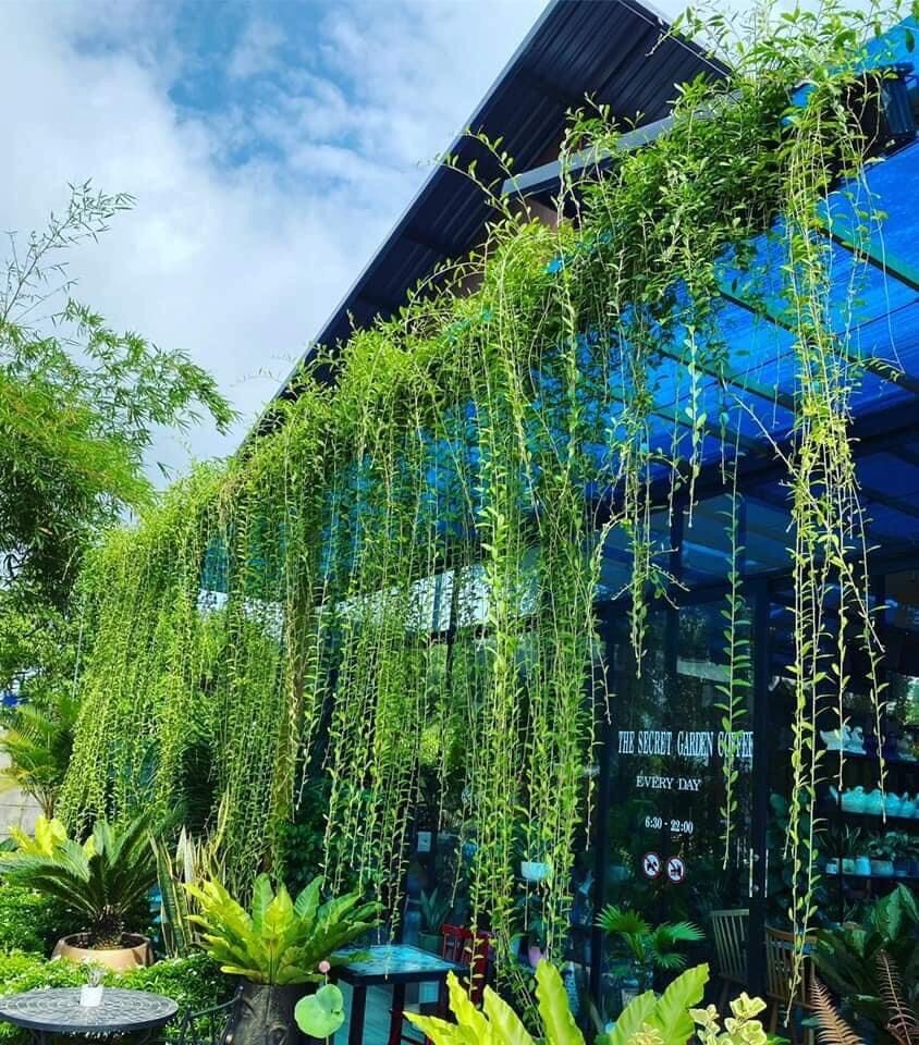 Cây Cảnh Quận 3, TP.HCM - Địa chỉ mua cây xanh, cây cảnh, cây châụ, cây hoa lá Dịch vụ cây xanh Khu vực giao cây xanh Vựa cây cảnh  Cây Xanh TPHCM Cây Xanh 