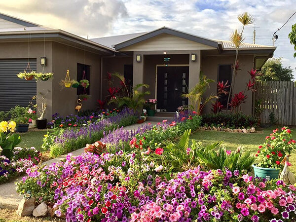 Dịch vụ trồng cây cho bồn cây, viền cây, tường cây xanh Dịch vụ cây xanh Thiết kế cảnh quan Thiết kế sân vườn  Cây Xanh 