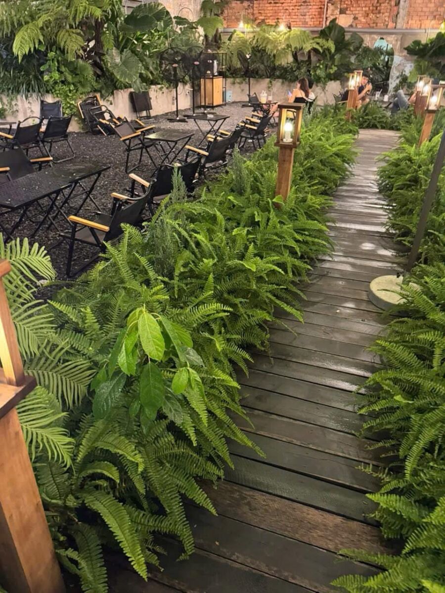 Dịch vụ chăm sóc bảo dưỡng cây cảnh tại TPHCM Dịch vụ cây xanh  