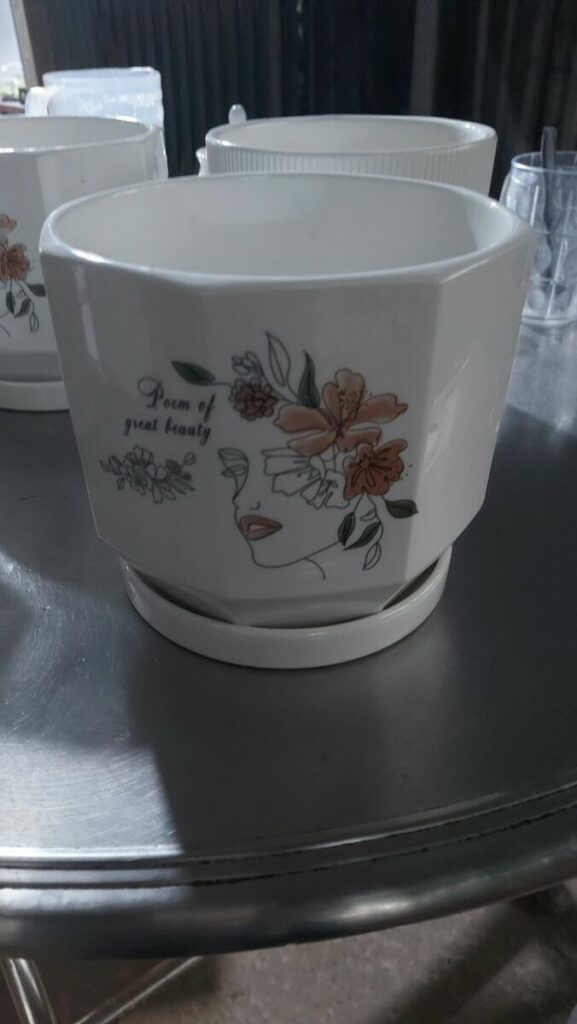 Combo Chậu - Đất - Sỏi Trắng  