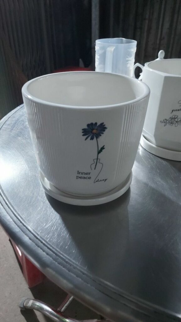 Combo Chậu - Đất - Sỏi Trắng  