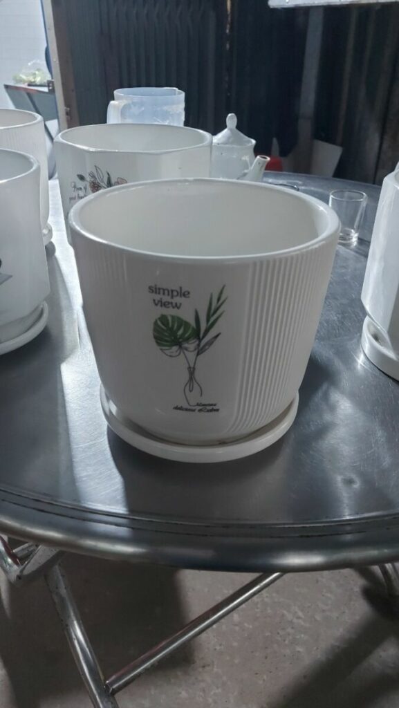 Combo Chậu - Đất - Sỏi Trắng  