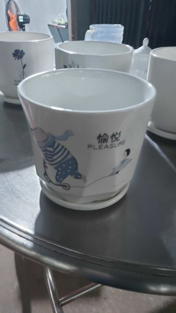 Combo Chậu - Đất - Sỏi Trắng  