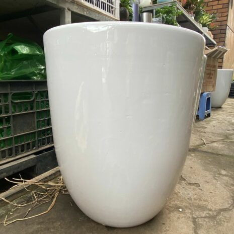 Combo Chậu – Đất – Sỏi Trắng Chậu cây cảnh Cây xanh TPHCM 3