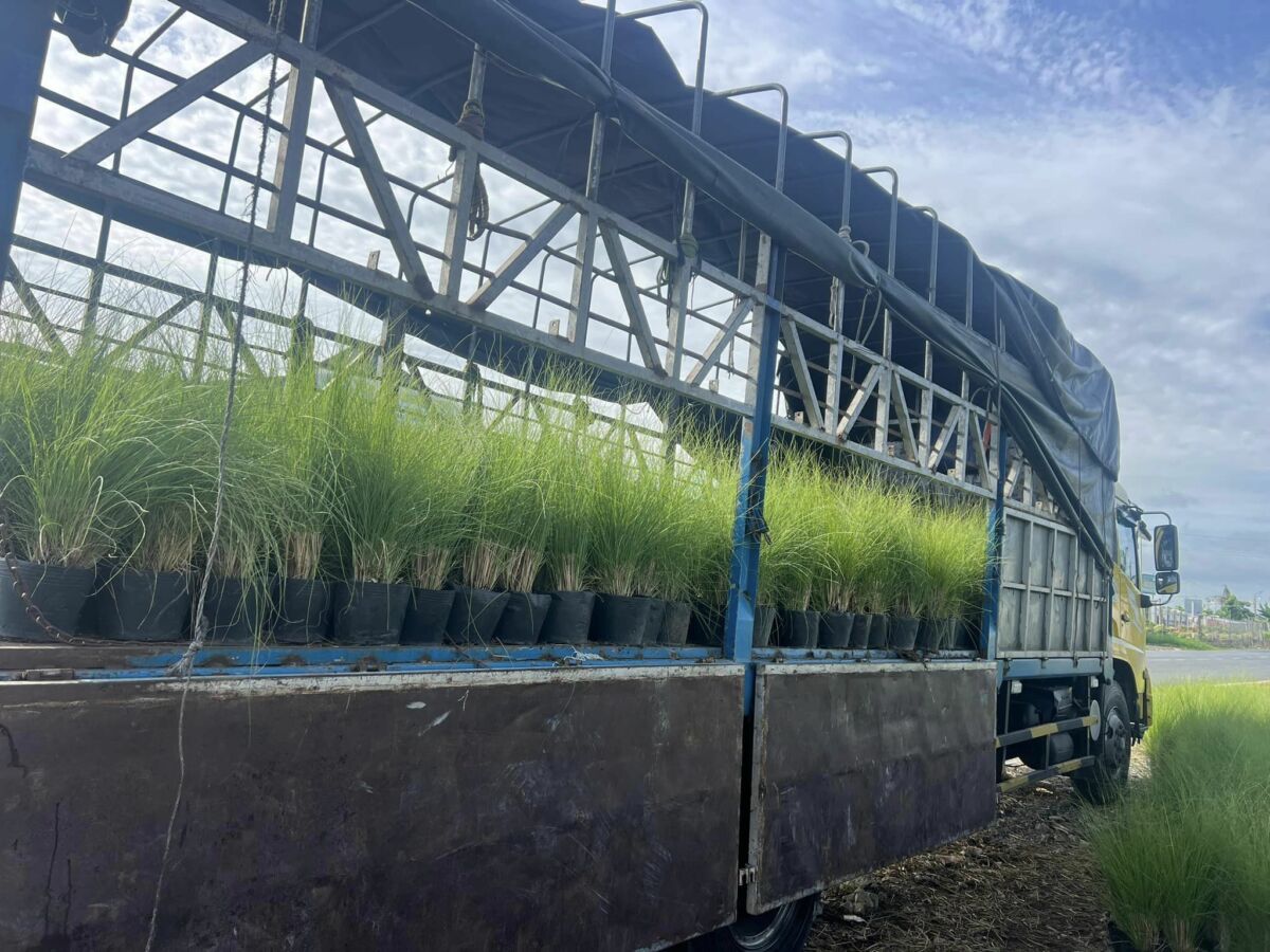 Cung cấp đất trồng cây chất lượng cao tại TP.HCM Thiết kế sân vườn  Nơi bán đất trồng cây ở TPHCM Nơi bán đất trồng cây gần đây Mua đất trồng rau trong thùng xốp Mua đất trồng cây quận Tân Phú Mua đất trồng cây Quận 8 Mua đất trồng cây ở đâu Mua đất trồng cây ở Bình Thạnh Mua đất trồng cây loại nào tốt Mua đất trồng cây giá rẻ Mua đất thịt trồng cây TPHCM Giá đất trồng cây Cách trộn đất trồng cây Bán đất trồng cây quận Tân Phú Bán đất trồng cây quận Tân Bình Bán đất trồng cây quận Gò Vấp Bán đất trồng cây quận Bình Thạnh Bán đất trồng cây quận 9 Bán đất trồng cây quận 8 Bán đất trồng cây quận 7 Bán đất trồng cây quận 6 Bán đất trồng cây quận 5 Bán đất trồng cây quận 3 Bán đất trồng cây quận 2 Bán đất trồng cây quận 12 Bán đất trồng cây quận 11 Bán đất trồng cây quận 10 Bán đất trồng cây quận 1 Bán đất trồng cây gần đây Bán đất trồng cây 4 Bán đất thịt trồng cây ở Bình Dương 