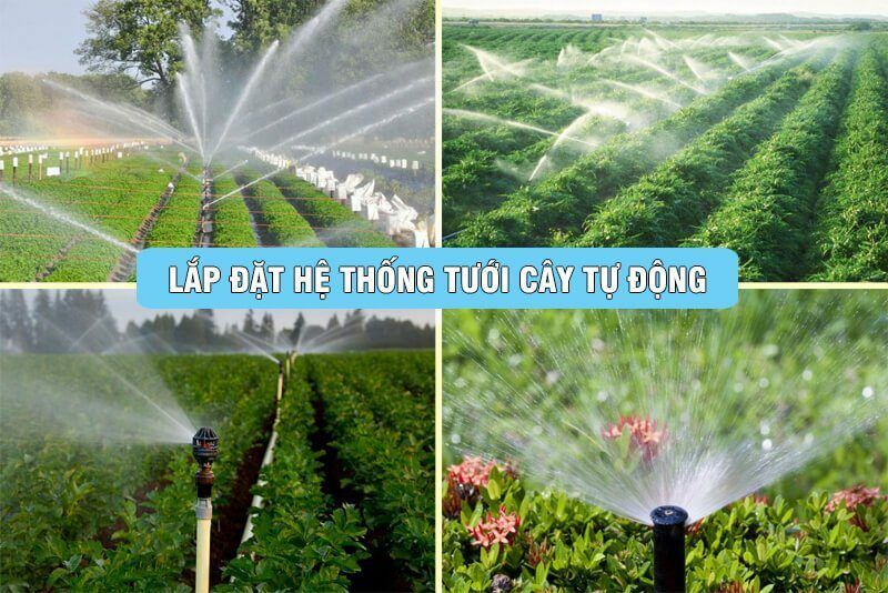 Dịch vụ Thiết kế, lắp đặt Hệ thống tưới cây tự động điều khiển bằng điện thoại từ xa Dịch vụ cây xanh Thi công công trình Thi công sân thượng Thiết kế ban công Thiết kế cảnh quan Thiết kế cảnh quan sân vườn Thiết kế sân vườn  Cây Xanh TPHCM Cây Xanh Tân Phú Cây Xanh Tân Bình Cây Xanh Cây cảnh Tân Phú Cây cảnh Tân Bình 