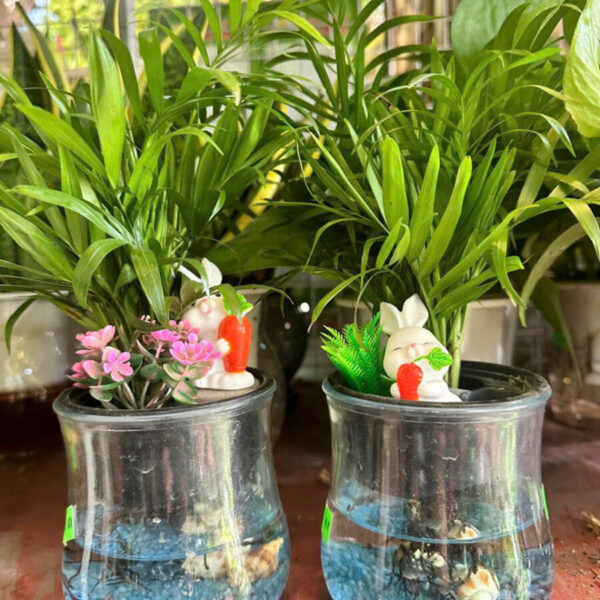 Cây cảnh để bàn mẫu 20 Cây chậu để bàn