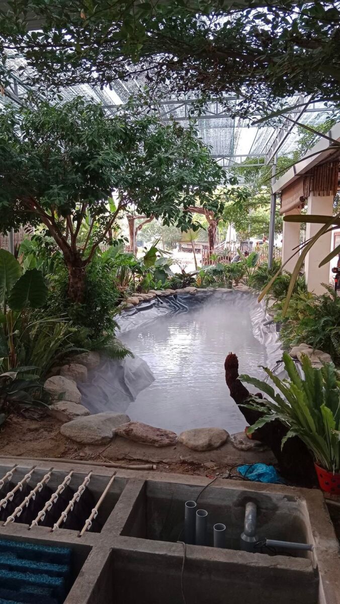 Dịch vụ thi công hồ cá sân vườn và trồng cây xanh sân vườn Thiết kế sân vườn  