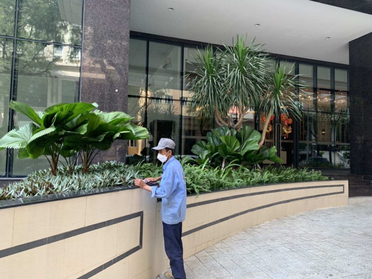 Dịch vụ trồng cây cảnh tại nhà TPHCM: Mang thiên nhiên đến không gian sống của bạn Dịch vụ cây xanh  