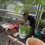 Nơi bán cây cảnh giá rẻ tại TPHCM dễ dàng đặt mua online Dịch vụ cây xanh Khu vực giao cây xanh Vựa cây cảnh  Vườn bán cây cảnh gần đây Tiệm bán cây cảnh gần đây Thanh lý cây cảnh TPHCM Nơi bán đất trồng cây ở TPHCM Nhà vườn cung cấp cây cảnh TPHCM Mua đất trồng cây quận Tân Phú Mua đất trồng cây Quận 8 Mua đất trồng cây ở Bình Thạnh Mua đất trồng cây giá rẻ Mua cây cảnh giá rẻ Chợ đầu mối cây cảnh TPHCM Bán đất trồng cây quận Tân Phú Bán đất trồng cây quận Tân Bình Bán đất trồng cây quận Gò Vấp Bán đất trồng cây quận Bình Thạnh Bán đất trồng cây quận 9 Bán đất trồng cây quận 8 Bán đất trồng cây quận 7 Bán đất trồng cây quận 6 Bán đất trồng cây quận 5 Bán đất trồng cây quận 3 Bán đất trồng cây quận 2 Bán đất trồng cây quận 12 Bán đất trồng cây quận 11 Bán đất trồng cây quận 10 Bán đất trồng cây quận 1 Bán đất trồng cây gần đây Bán đất trồng cây 4 Bán đất thịt trồng cây ở Bình Dương Bán cây cảnh sân vườn Bán cây cảnh online TPHCM 