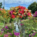 Nơi bán cây cảnh giá rẻ tại TPHCM dễ dàng đặt mua online Dịch vụ cây xanh Khu vực giao cây xanh Vựa cây cảnh  Vườn bán cây cảnh gần đây Tiệm bán cây cảnh gần đây Thanh lý cây cảnh TPHCM Nơi bán đất trồng cây ở TPHCM Nhà vườn cung cấp cây cảnh TPHCM Mua đất trồng cây quận Tân Phú Mua đất trồng cây Quận 8 Mua đất trồng cây ở Bình Thạnh Mua đất trồng cây giá rẻ Mua cây cảnh giá rẻ Chợ đầu mối cây cảnh TPHCM Bán đất trồng cây quận Tân Phú Bán đất trồng cây quận Tân Bình Bán đất trồng cây quận Gò Vấp Bán đất trồng cây quận Bình Thạnh Bán đất trồng cây quận 9 Bán đất trồng cây quận 8 Bán đất trồng cây quận 7 Bán đất trồng cây quận 6 Bán đất trồng cây quận 5 Bán đất trồng cây quận 3 Bán đất trồng cây quận 2 Bán đất trồng cây quận 12 Bán đất trồng cây quận 11 Bán đất trồng cây quận 10 Bán đất trồng cây quận 1 Bán đất trồng cây gần đây Bán đất trồng cây 4 Bán đất thịt trồng cây ở Bình Dương Bán cây cảnh sân vườn Bán cây cảnh online TPHCM 