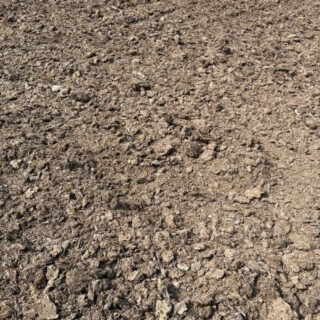 Phân bò khô bao lớn Dụng cụ ươm cây