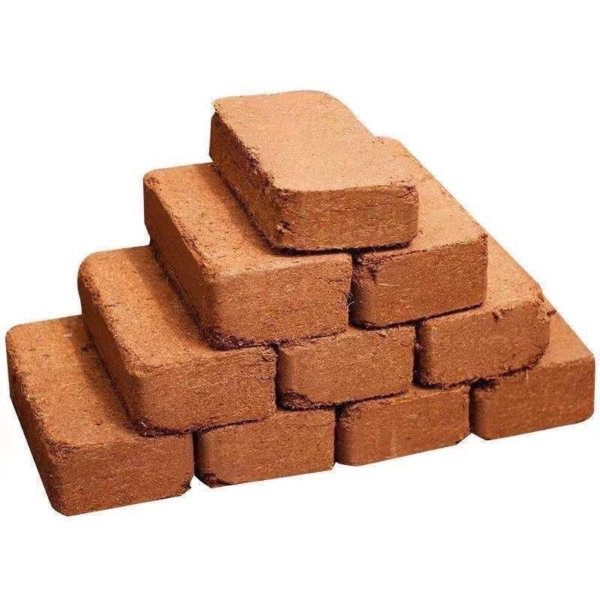 Viên nén xơ dừa dùng cho cây trồng ( hình chữ nhật ) Dụng cụ ươm cây