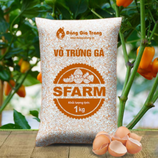 Vỏ trứng gà SFARM (1kg) – Cải tạo đất, bổ sung Canxi, cho cây con, rau màu Cây cỏ